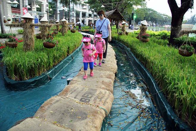 Hồn quê xuất hiện tại khu nhà giàu ở Sài Gòn ngày giáp Tết